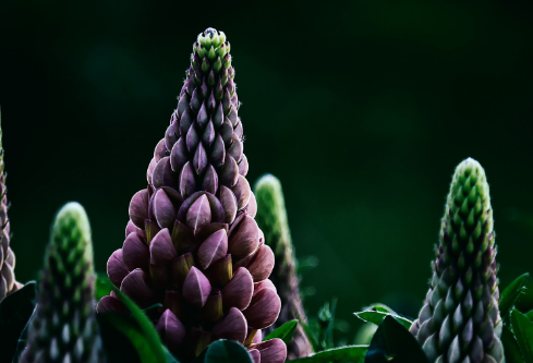 1692910493230650.png image.png