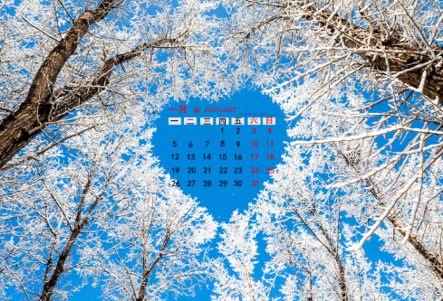 1692910660117468.png image.png