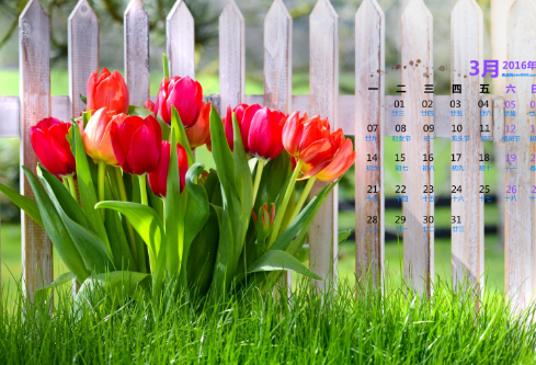 1692913480369815.png image.png