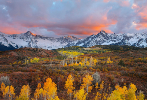 1692913978122649.png image.png