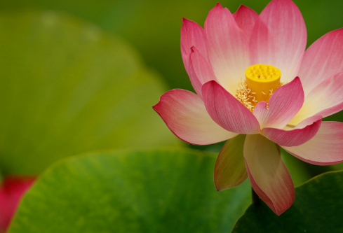 1692914807572537.png image.png