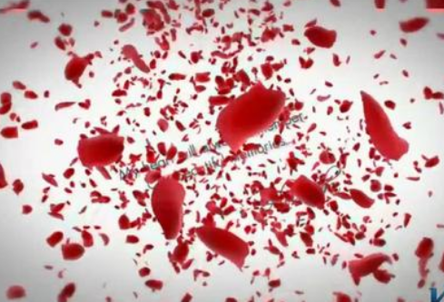 1692916299104519.png image.png