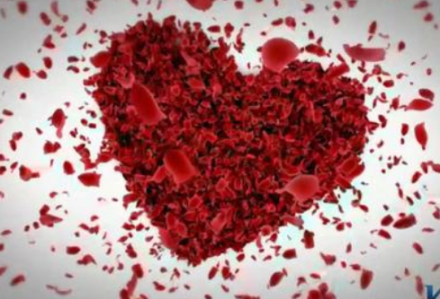 1692916465124284.png image.png