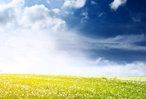 1692917627748753.png image.png