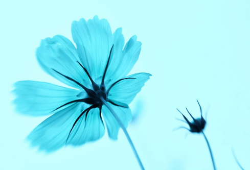 1692917958136905.png image.png