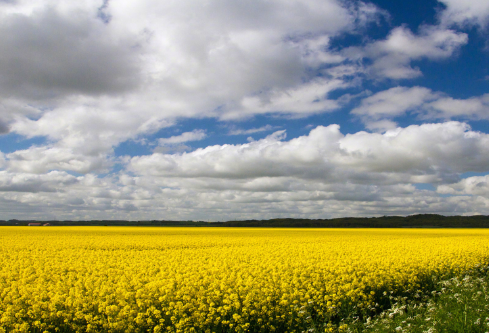 1692919120127244.png image.png