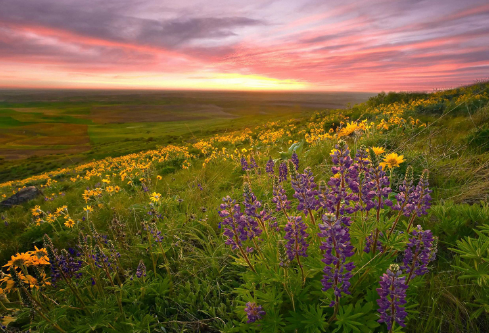 1692919286977294.png image.png