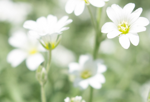 1692919783361165.png image.png