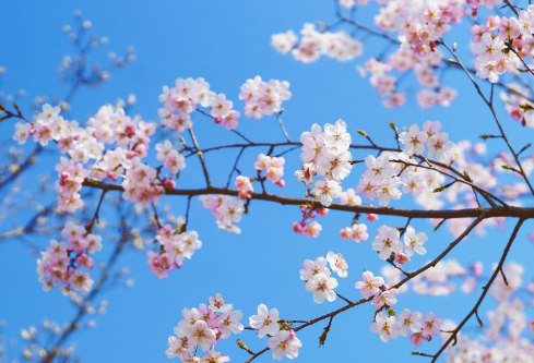 1692919949176430.png image.png