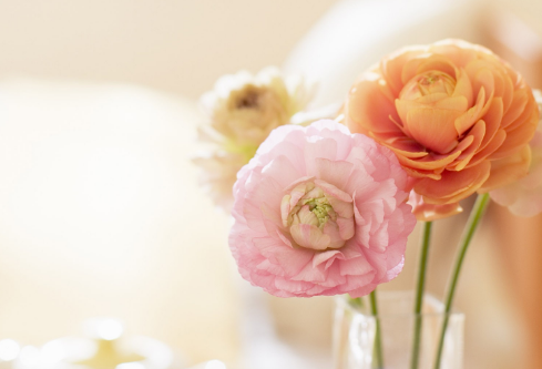 1692920115443227.png image.png