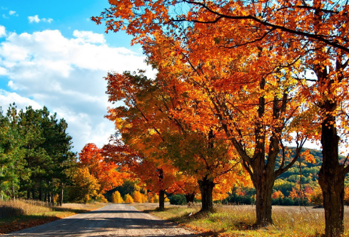 1692920281586308.png image.png