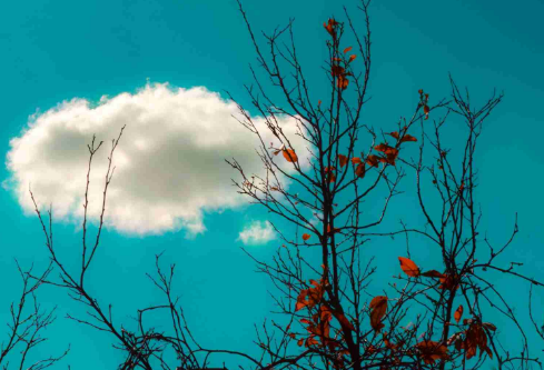 1692921276235685.png image.png