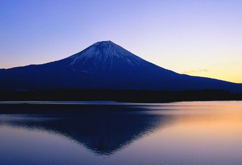 1692921773458159.png image.png