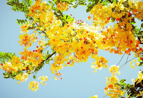 1692922935502223.png image.png