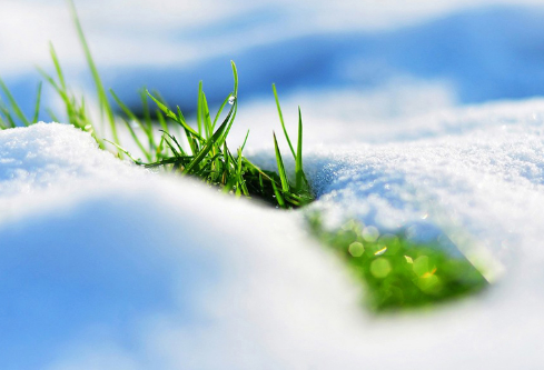 1692923432599776.png image.png