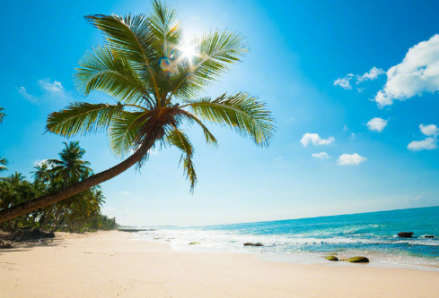 1692923598678955.png image.png