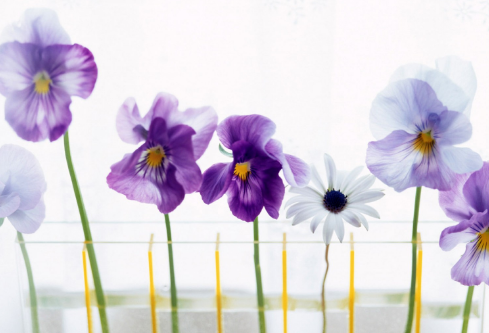 1692925256944762.png image.png