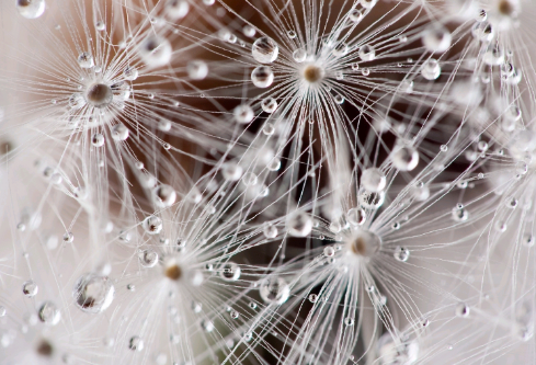 1692925422125652.png image.png