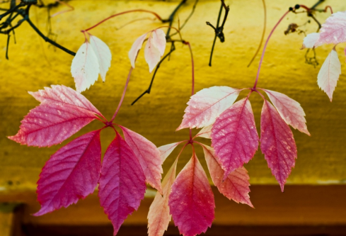 1692925754967096.png image.png