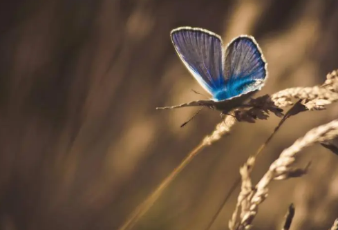 1693038606626499.png image.png