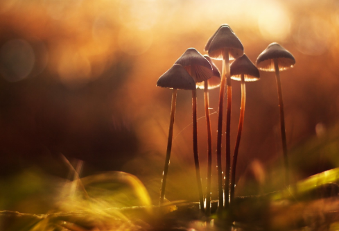 1693040936117085.png image.png