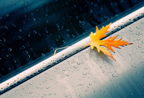 1693045422505623.png image.png