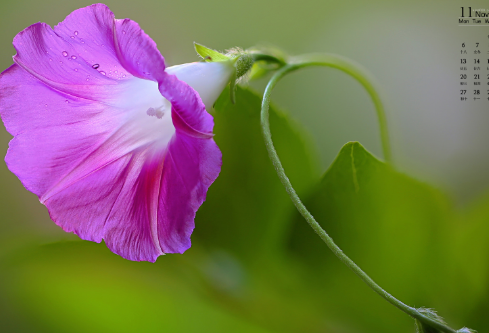 1693048578119245.png image.png