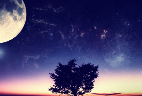 1693048910462591.png image.png