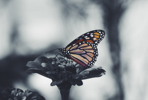 1693049076639151.png image.png