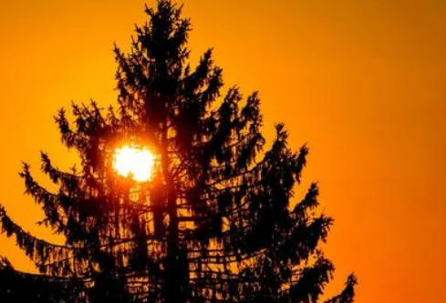 1693049575122644.png image.png