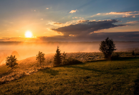 1693049745937920.png image.png