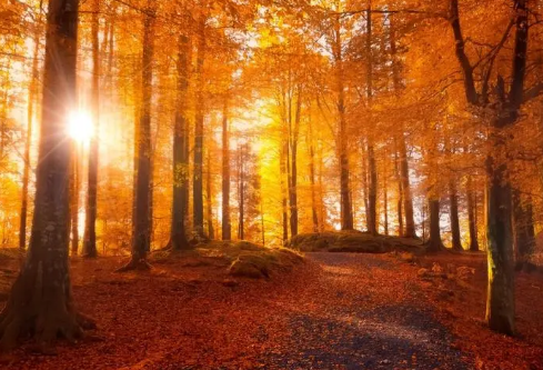 1693050416124706.png image.png