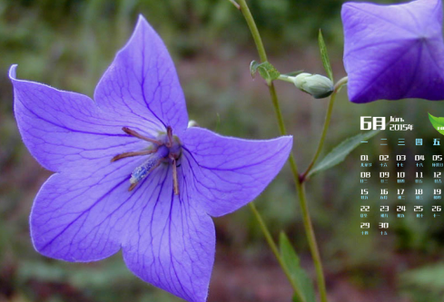 1693050582461386.png image.png