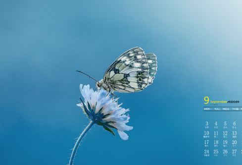 1693051246130635.png image.png