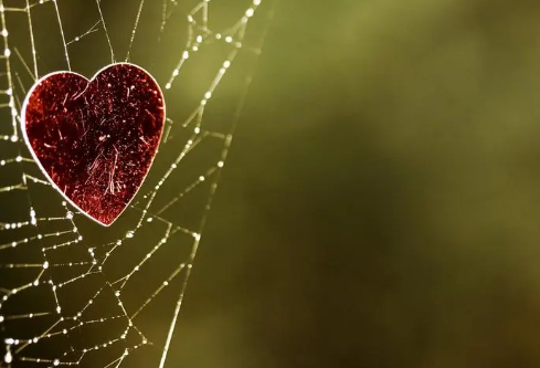 1693051579759726.png image.png