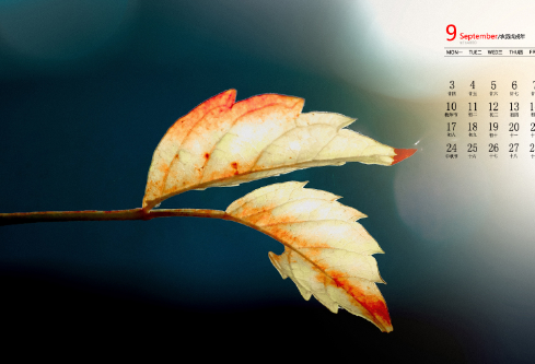 1693052756108397.png image.png