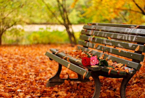 1693053088785932.png image.png