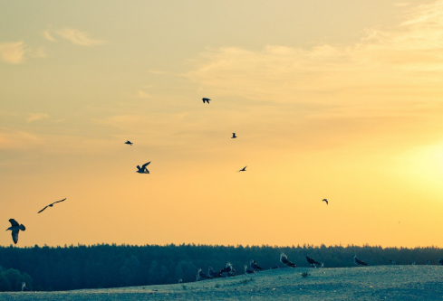 1693053254620389.png image.png