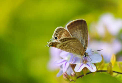 1693055745122662.png image.png