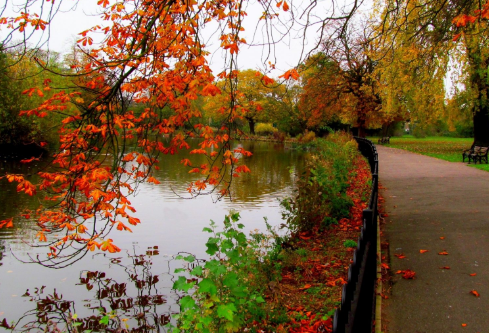 1693073883104846.png image.png