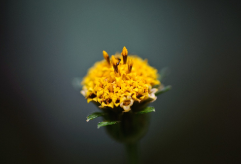 1693074049112244.png image.png