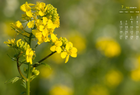 1693074215170836.png image.png