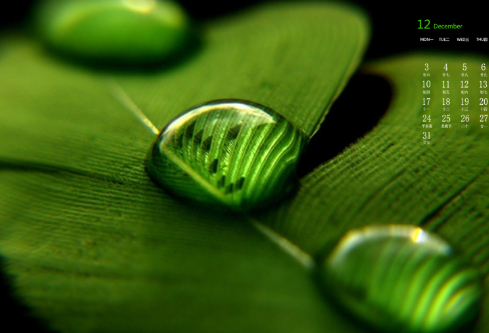 1693074547248035.png image.png