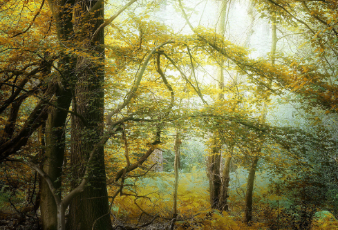 1693075709105944.png image.png