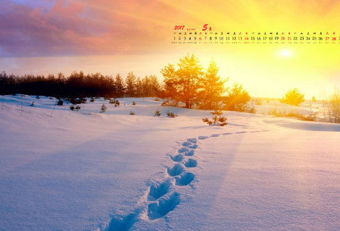 1693076041967483.png image.png