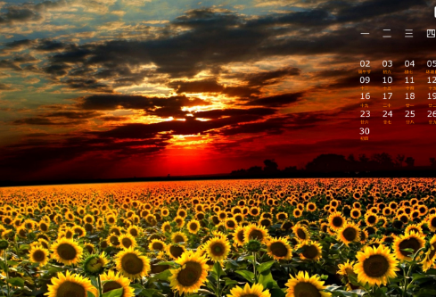 1693076374988655.png image.png