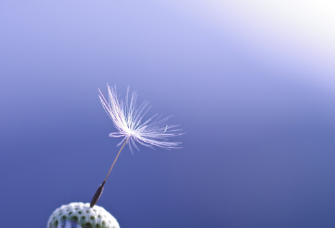 1693079518404756.png image.png