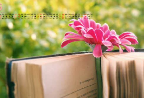 1693080847978112.png image.png