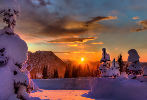 1693081346539403.png image.png