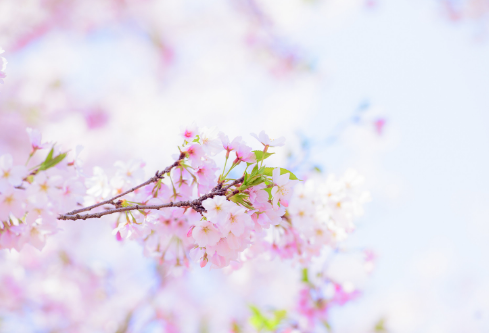 1693083502943471.png image.png